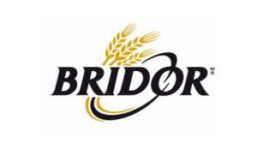 logo-bridor