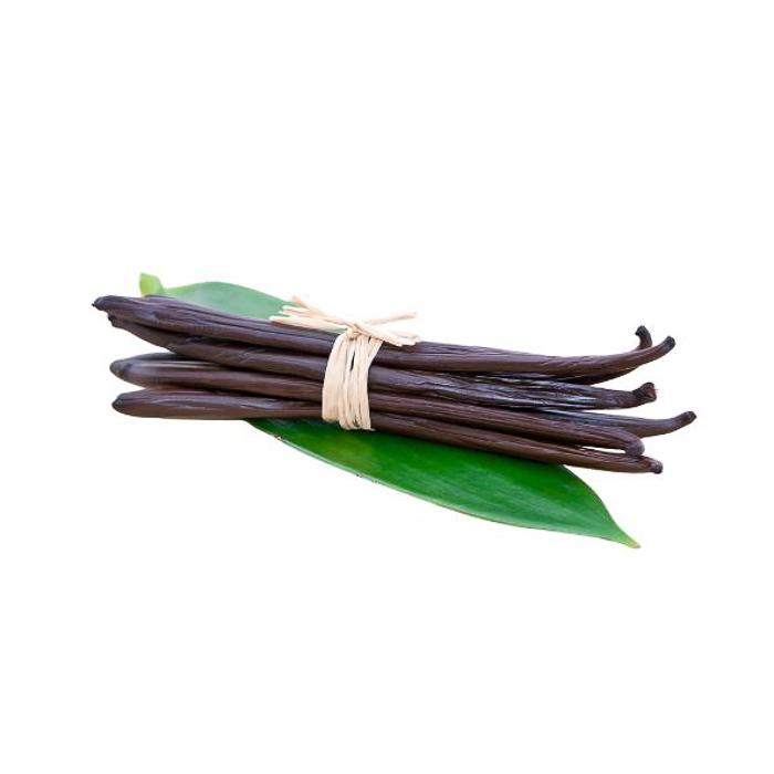 immagine baccelli di vaniglia madagascar plaifolia group