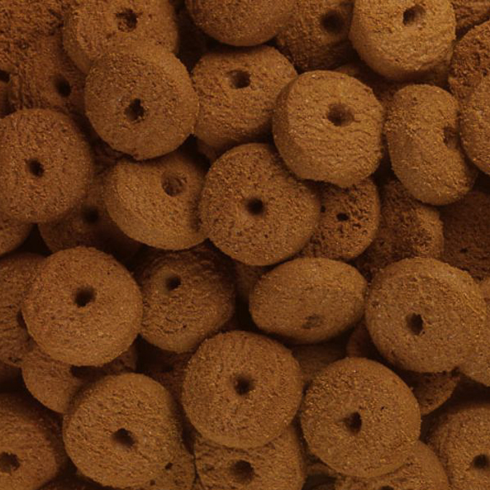 immagine frollini cookies
