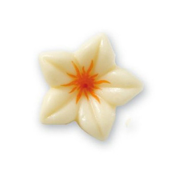 immagine fiore choc bianco arancio