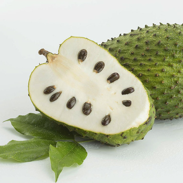 immagine graviola succo tropical