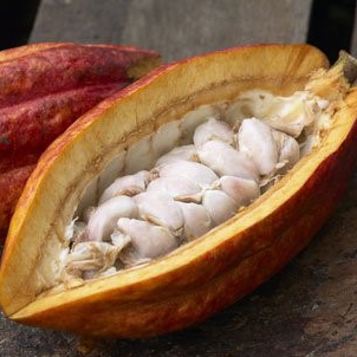 immagine frutto del cacao gelato mix