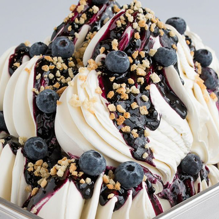 immagine joyfruit mirtillo base per gelato