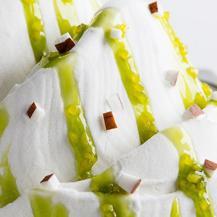 immagine joygelato al cocco puntogel