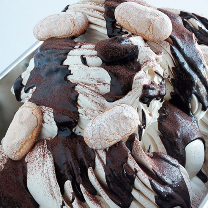 immagine joygelato tiramisù puntogel