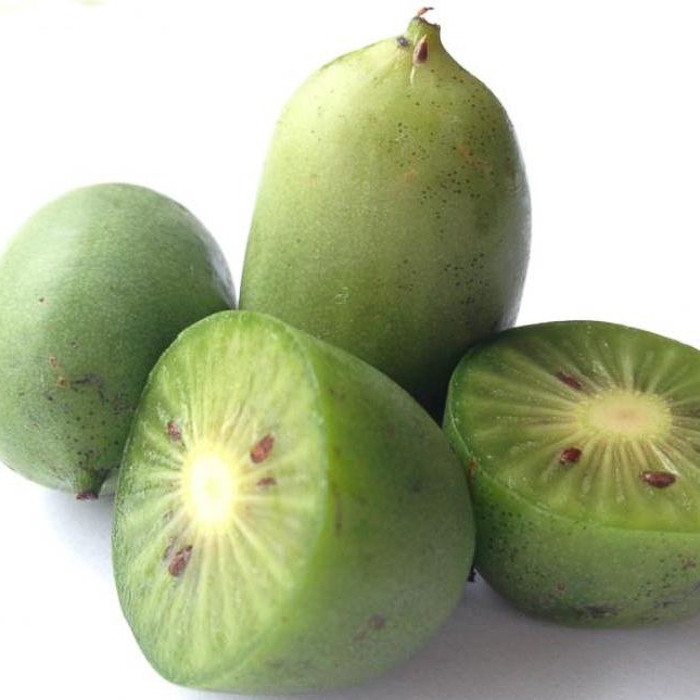 immagine polpa baby kiwi zucch 10