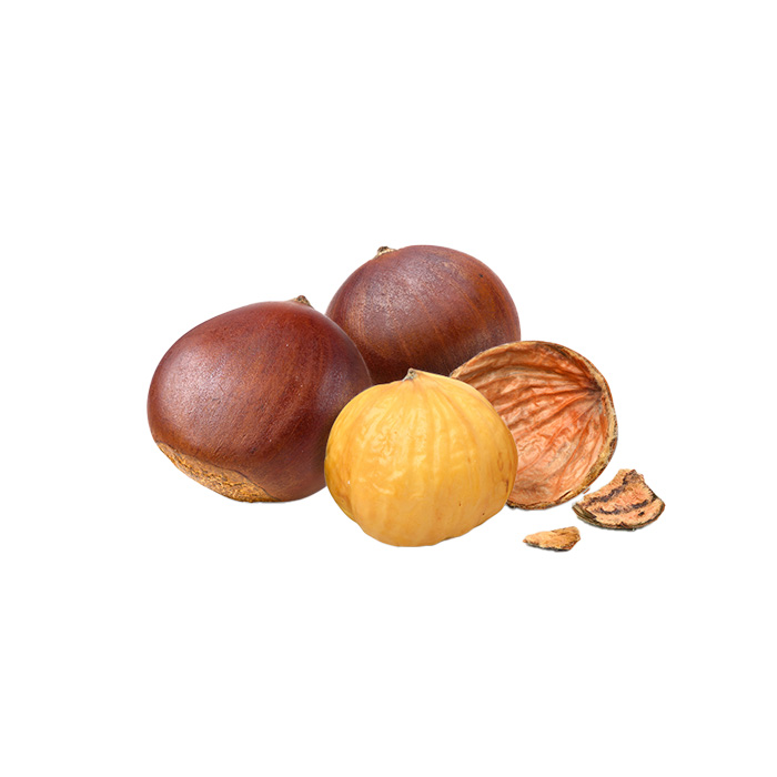 immagine polpa castagne zucch