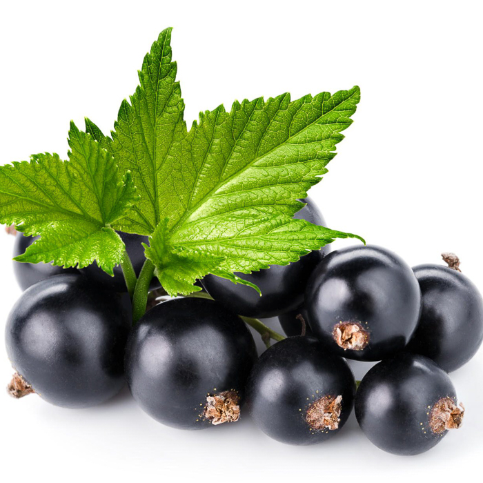 immagine polpa ribes nero cassis zucch 10