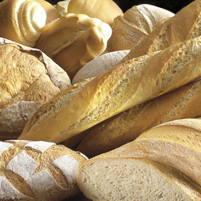 immagine pasta acida per pane york evolution irca