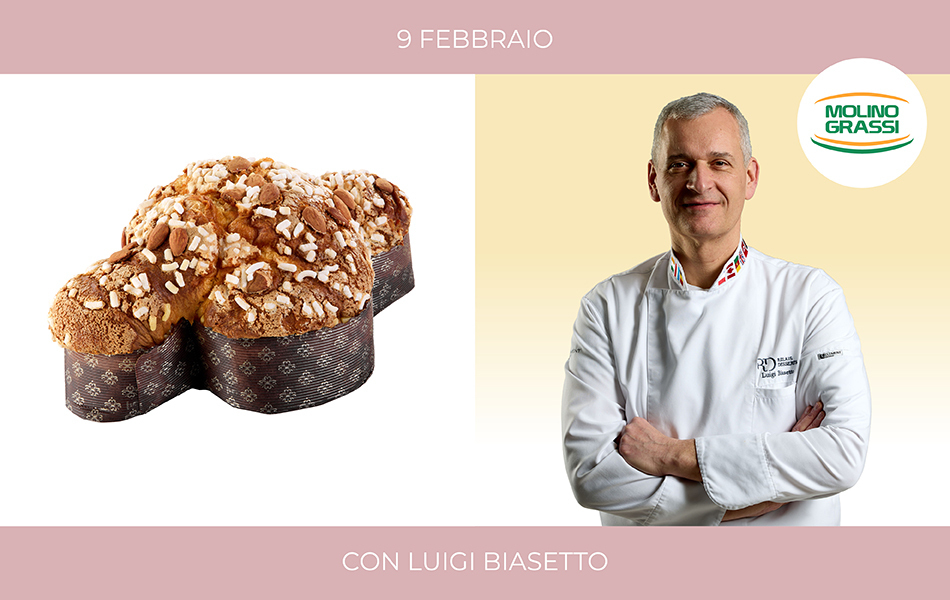 immagine colomba biasetto